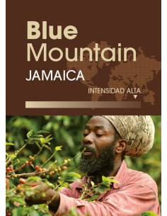 Café de especialidad Jamaica Blue Mountain
