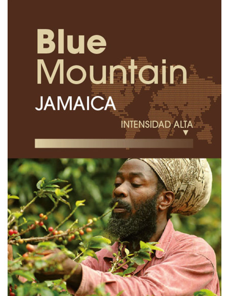 Café de especialidad Jamaica Blue Mountain