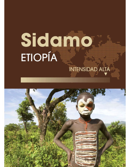 Café de especialidad Etiopía Sidamo