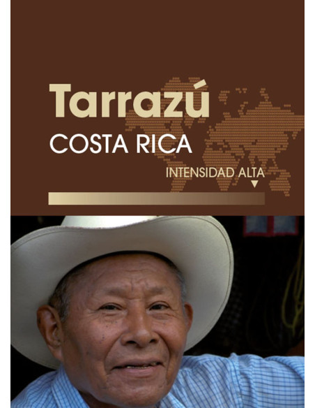Café de especialidad Costa Rica, Tarrazú